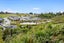 30 Kiritiana Close, Pyes Pa, Tauranga - Carousel 5