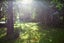 0 Norsewood Ormondville Rd, Norsewood - Carousel 2