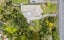 65 Rata Street, Inglewood, Inglewood - Carousel 21