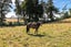 54 Stenhouse Road, Mount Trotter, Palmerston - Carousel 23