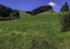 580 Maratoto Road, Hikutaia, Paeroa - Carousel 4