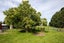 657 Domett Road, Domett, Cheviot - Carousel 3