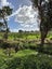 50 Painua Road, Hokio Beach, Levin - Carousel 12