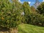 86 Prole Road, Omokoroa, Tauranga - Carousel 33