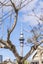 14 Ireland Street, Freemans Bay, Auckland - Carousel 19