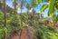 24 Winhall Rise, Remuera, Auckland - Carousel 16