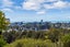 20A Alton Avenue, Hillcrest, Auckland - Carousel 3