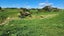 868 Upland Road, Egmont Village, New Plymouth - Carousel 10
