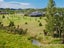 87 Awataha Crescent, Pyes Pa, Tauranga - Carousel 20