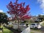 36 Ennis Avenue, Pakuranga Heights, Auckland - Carousel 13