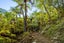 0 Fence Bay, Onahau Bay, Marlborough Sounds - Carousel 10