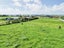 91 Bushy Park Road, Kai Iwi, Whanganui - Carousel 20