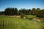 0 Ruatiti Road, Ruatiti, Raetihi - Carousel 4