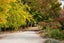 58 Hawley Road, Blackmans, Alexandra - Carousel 18