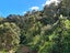 498 Wyuna Bay Road, Wyuna Bay, Coromandel - Carousel 15
