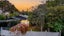 7 George Avenue, Herald Island, Auckland - Carousel 1