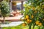 24 Chesham Street, Rototuna North, Hamilton - Carousel 32