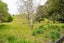 251 Ahiaruhe Road, Carterton - Carousel 18
