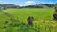 30 Strathnaver Drive, Waikawa Beach, Manakau - Carousel 4