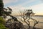 31 Shakespear Road, Army Bay, Whangaparaoa - Carousel 27