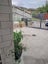 11 Amy Place, Pyes Pa, Tauranga - Carousel 5