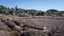 5389 State Highway 31, KAWHIA, Kawhia - Carousel 5