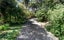 21 Crescent Road, Epsom, Auckland - Carousel 35