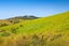 3390C Kaipara Coast Highway, Glorit, Warkworth - Carousel 26
