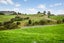 386B Kauri Road, Tuakau - Carousel 5