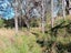 0 Bute Rd, Mangapakeha, Masterton - Carousel 28