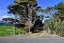 3752 Karamea Highway, Little Wanganui - Carousel 2