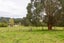 960 Norfolk Road, Upper Plain, Carterton - Carousel 15
