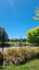 34 Jarnac Boulevard, Yaldhurst, Christchurch - Carousel 24