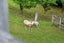 2 Slater Road, Helensville - Carousel 24