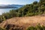 238B Port Underwood Road, Waikawa, Picton - Carousel 15