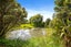 54 De Boer Lane, Kaiwaka - Carousel 14