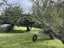 673 Beach Road, Rothesay Bay, Auckland - Carousel 20