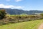 1472 Tower Road, Matamata - Carousel 19