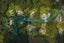 99D Carter Road, Oratia, Auckland - Carousel 30