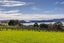 2958 State Highway 10, Paewhenua Island, Mangonui - Carousel 6