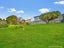 62 Tees Street, South Hill, Oamaru - Carousel 32