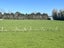 362 Lorne-Dacre Road, ROSLYN BUSH, INVERCARGILL - Carousel 12