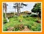 19 Lorraine Avenue, Mount Albert, Auckland - Carousel 7