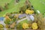 77 Grove Road, Palmerston North - Carousel 2