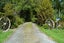 33 Rakiura Parade, Otatara - Carousel 42