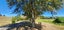 27 Kanuka Rise, Thames - Carousel 3
