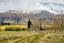 317 Crown Range Road, Arrow Junction, Queenstown - Carousel 14