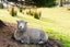 222 Chain Hills Road, Chain Hills, Dunedin - Carousel 24