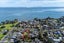 3 Ocean View Road, Weymouth, Auckland - Carousel 2