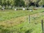 97 Te Horo Beach Road, TE HORO, OTAKI - Carousel 8